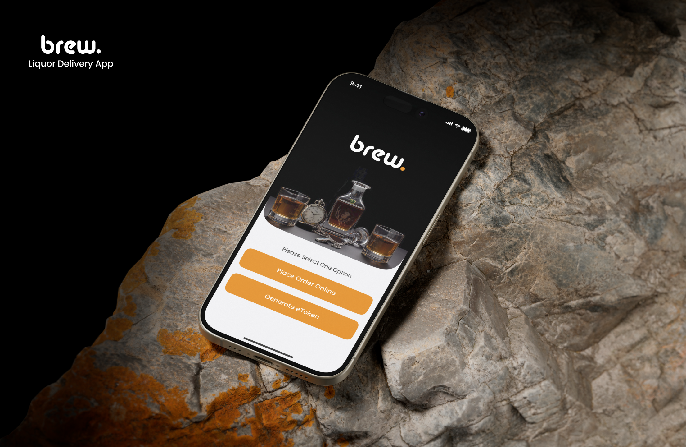 Single Project Image